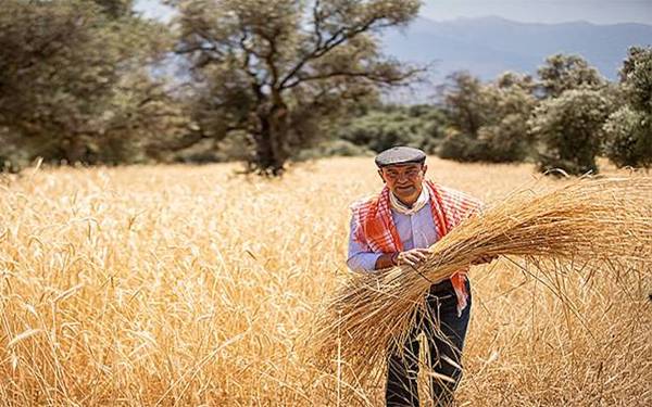 İzmir'de önceki İzBB Başkanı Tunç Soyer ve 59 kişi tutuklandı