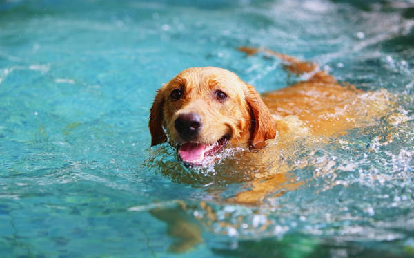 Türkiye genelindeki sıcak hava dalgası bir hafta daha sürecek