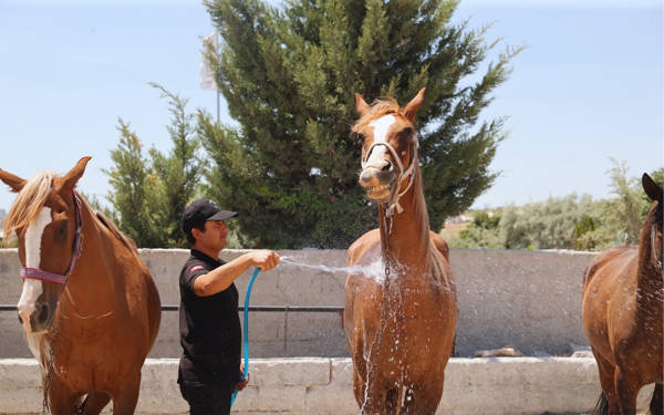 Ülke genelinde ‘sıcak hava’ manzaraları