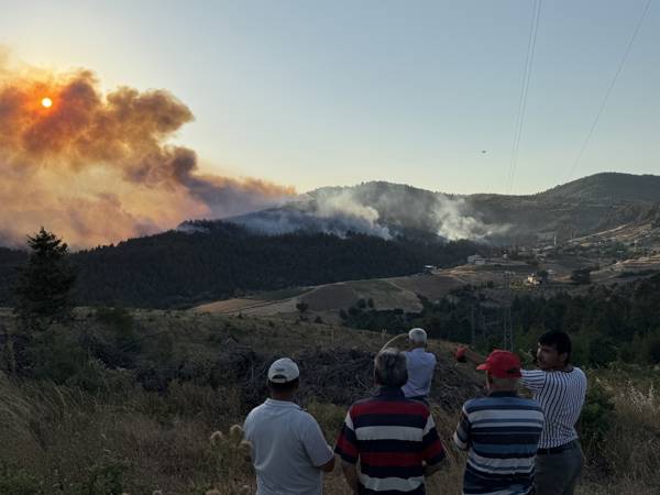 /haber/bursa-da-orman-yanginlarina-mudahale-suruyor-309861