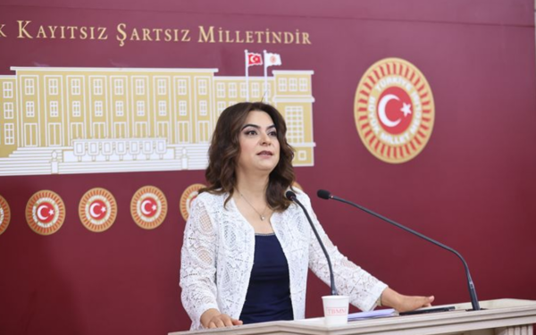 Koçyiğit: Meclis'teki komisyon sürecin hukuksal teminatını sağlamalı
