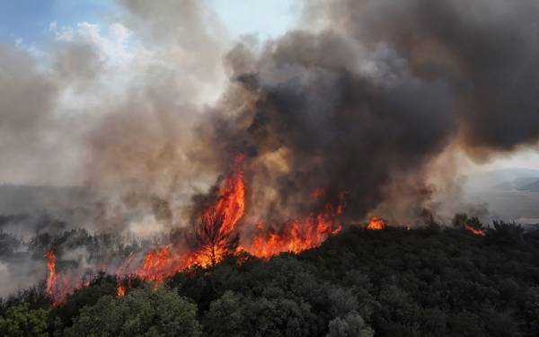 Çanakkale’de orman yangını sürüyor