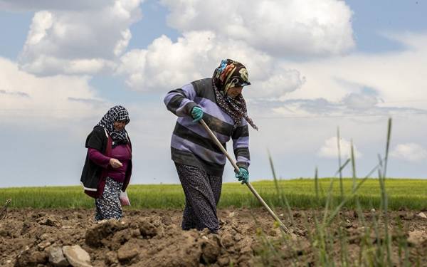 /haber/ciftcilerden-tepki-ceza-degil-destek-verin-310543