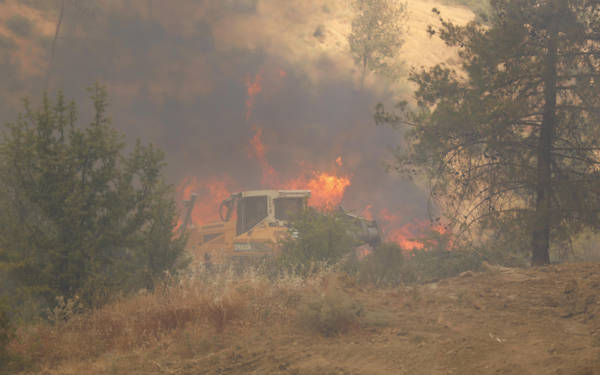 Define ararken orman yakan 5 kişiye 18 yıla kadar hapis istemi