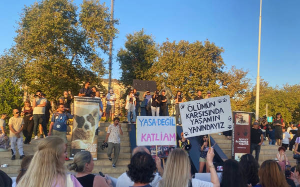 Hayvan hakları savunucuları: “Onurlu bir duruşla yaşam hakkını savunun”