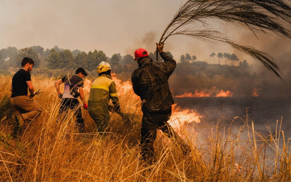 İklim değişikliği nedeniyle yangınlar daha olası ve şiddetli