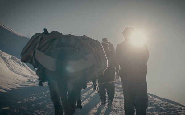 Barışa sinemadan tanıklık: 'Dağlardan başka tanık yok'