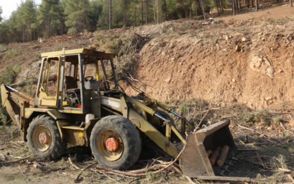 Li Semsûrê bi hinceta çêkirina rê daran dibirin