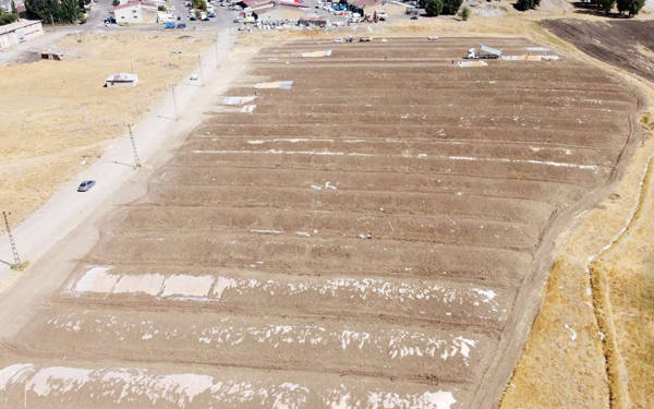 Buğday icralık oldu