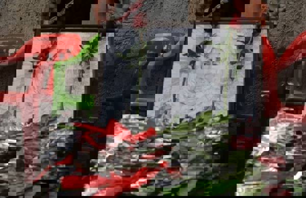 AYM'nin 'süre aşımı'ndan reddettiği Taybet İnan davası AİHM'e taşınıyor