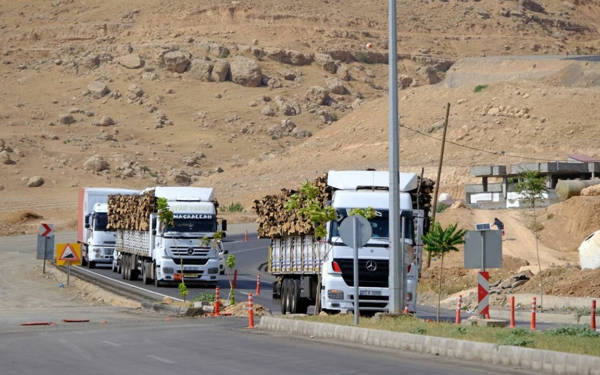 “Doğayla barışmadan toplumsal barış olmaz”