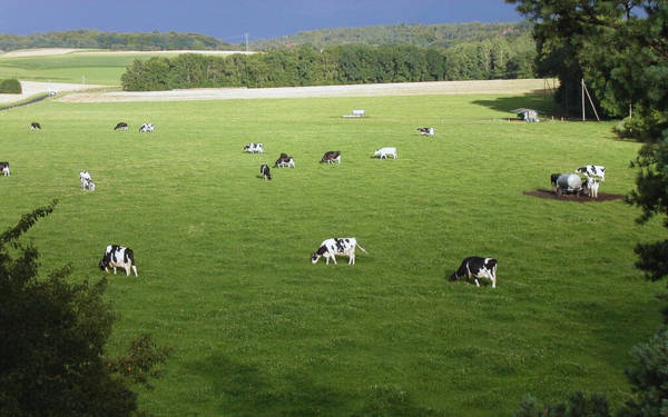 Seymen Merası’nda kuvars kum ocağı için ÇED süreci başladı