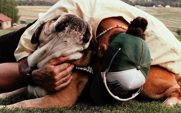 F1 pilotu Lewis Hamilton’dan köpeği Roscoe’ya veda