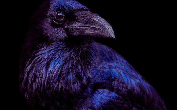 Bu hafta biamag’da