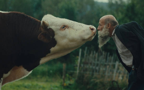 24. Filmekimi başladı