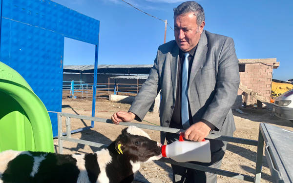 2025’in ilk 8 ayda 2024’ün tamamından fazla canlı hayvan ithalatı yapıldı