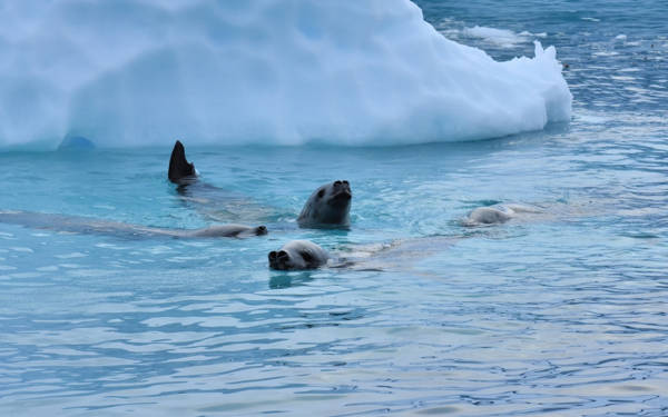 Paris Anlaşması’na uyulması, dünyayı her yıl 57 sıcak günden kurtarabilir