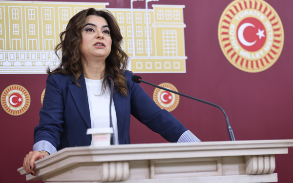 DEM Parti'den 'tezkere' tepkisi: Bölgeyi büyük bir kaosa sürükler