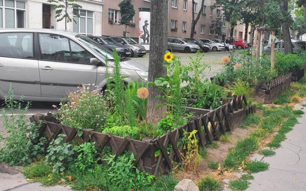 Kentte kök salmak: Gerilla bahçeciliğin sessiz direnişi