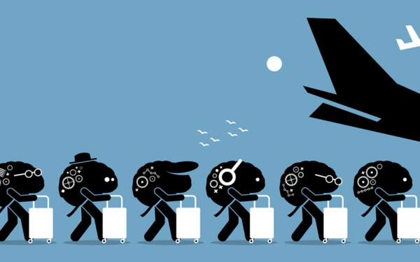 2024 yılının "Yükseköğretim Beyin Göçü İstatistikleri" açıklandı