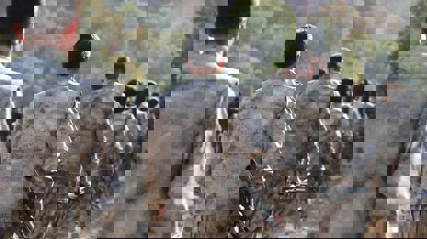 PKK further withdraws forces from frontlines in Kurdistan region