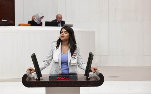 "Çocukların yetişkinlerle çarpık şekilde eşitlenmesi çoklu istismar risklerini arttırır"