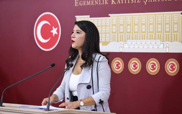 “Kadın ve LGBTİ+’ların eylemleri neden ‘milli değerlere’ dokunmaktadır?”