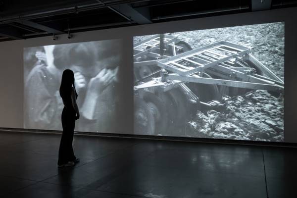 Dark World: Anatolian shadows and the legacy of Âşık Veysel