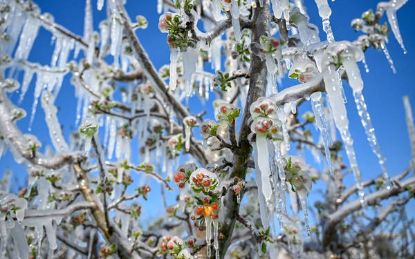 Uzmanlar uyarıyor: Tarımda ürün yelpazesi değişmek zorunda