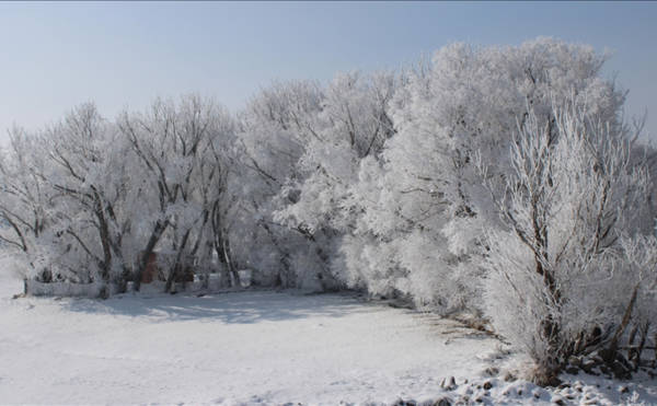 Ji serma û mija Qers, Erdexan û Agiriyê çend dîmen