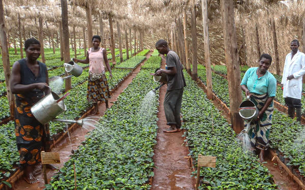 "Gıda ve fosil yakıt üretimi çevreye saat başı 5 milyar dolarlık zarar veriyor"