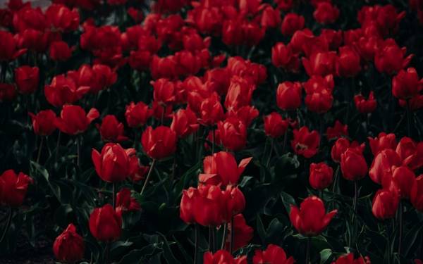 Bu hafta biamag’da