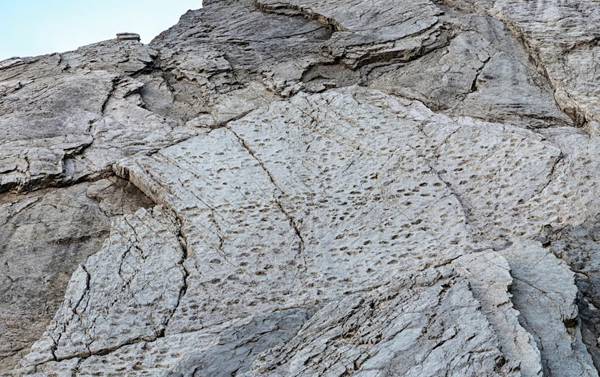 İtalya: Dinozorların 200 milyon yıl önceki uzun yürüyüşünün izleri Alpler'in yamaçlarında bulundu