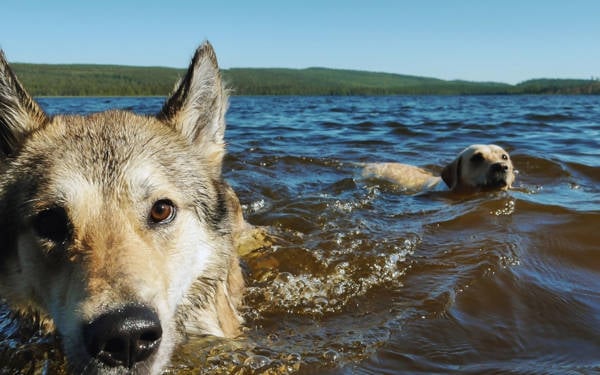 2025: Ekoloji krizinin gündelik hayata yerleştiği yıl