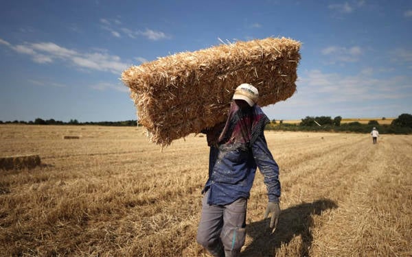 “İşçiler, iklim krizinin ön saflarında”