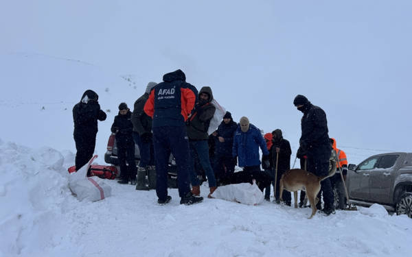 Van ve Artvin’de meydana gelen çığlarda en az iki kişi hayatını kaybetti