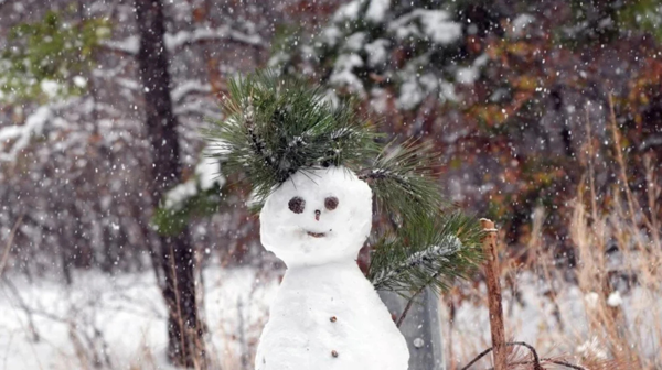 Hava koşulları nedeniyle 56 ilde eğitime ara verildi