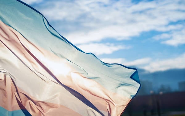 Trans Hakları Savunuculuk Çalıştayı: ‘Bir arada olmak zırh gibidir’