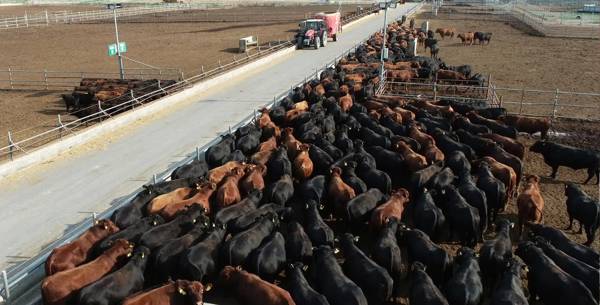 Aynı işyeri için altıncı ÇED başvurusu