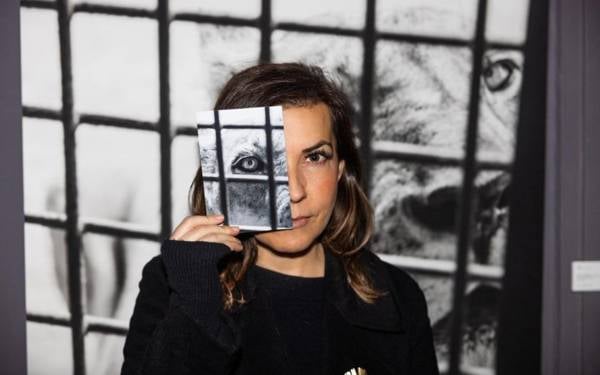 Özne olarak hayvan: Deniz  Tapkan Cengiz kadrajında "Umwelt”