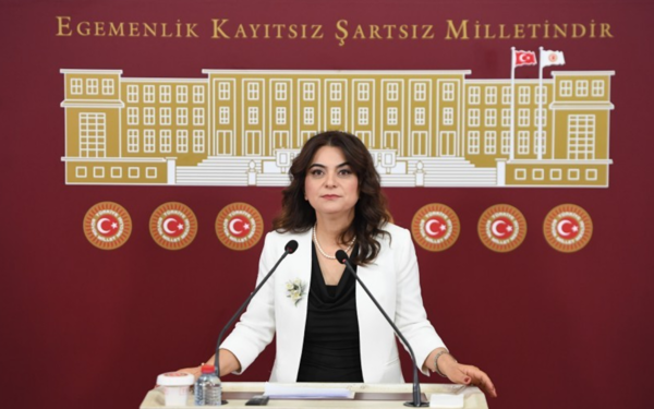DEM Parti: Taslak metinde kabul etmeyeceğimiz yaklaşımlar var