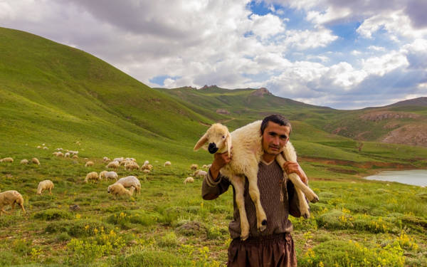 İklim krizi on milyonlarca çobanı işsiz bırakabilir