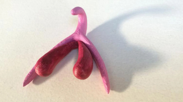 Klitorisin sinir haritası ilk kez çıkarıldı