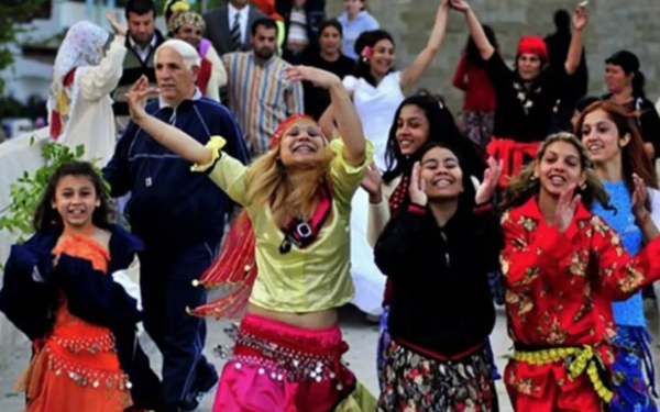 DEM Parti: Eşitlik, onur ve adalet için Roman halkıyla yan yana