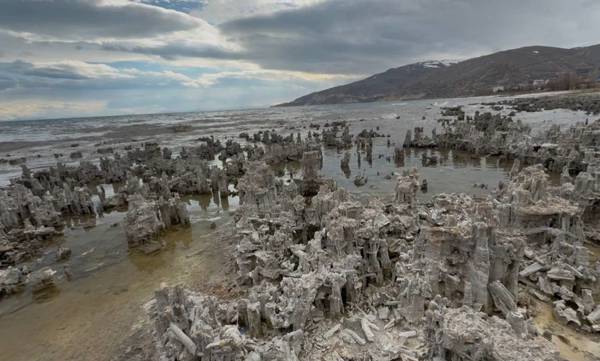Ekolojîst Erdogan Odûk: Ger bi vî awayî berdewam bike 20 sal şûn de wê Behra Wanê biçike