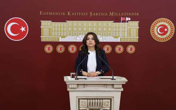 Koçyiğit: Yasa yapma ihtiyacının zorunluluğu açık ve net