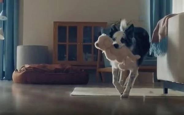 Yeni Şafak hedef gösterdi, Bosch Türkiye’nin "köpek annesi" reklamı yayından kaldırıldı