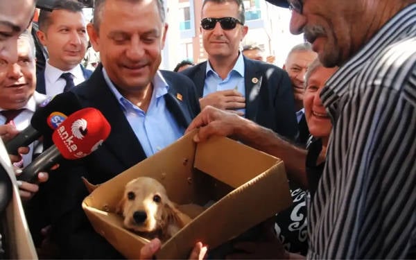 Polis müdahalesinden CHP’nin kedisi Zafer ve köpeği Mayıs da etkilendi