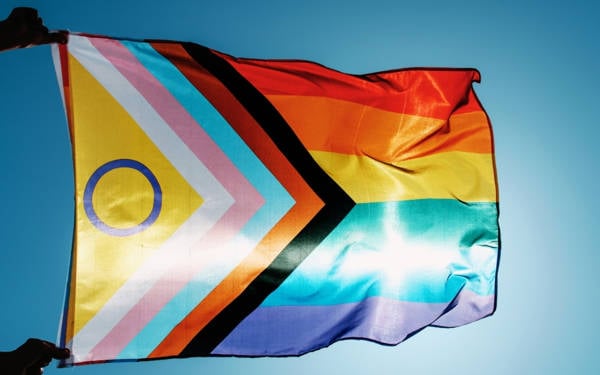 /haber/lgbti-haberleri-yapan-gazetecilerin-x-hesaplarina-erisim-engeli-320968