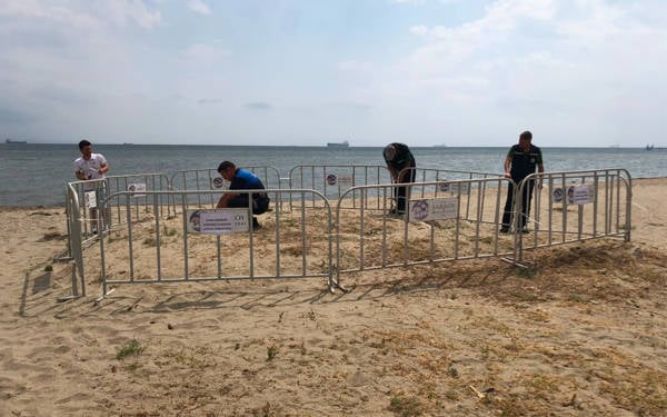 Şarköy'de nesli tehlikedeki kum zambakları için koruma çemberi